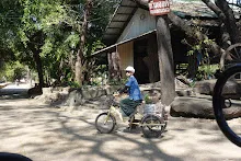 680202 สสธ.ม.3 ฝึกหัดเพาะชำต้นไม้แบบควบแน่น ไปสวนไวพลัง 593.JPG