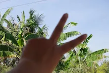 680202 สสธ.ม.3 ฝึกหัดเพาะชำต้นไม้แบบควบแน่น ไปสวนไวพลัง 582.JPG