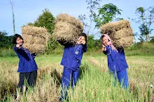 671125 นร.ม.4 ไปขนฟาง บ้านสสธ.ฟาร์ม อ.เดชอุดม 7.jpg