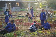 680107 สมุนพระรามดูแลสวนเช้า 3.JPG
