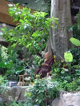 DSC03753.JPG