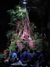 DSC00249.JPG
