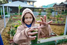 680608 สมุนพระรามเก็บเมล็ดพันธุ์ดอกไม้กินได้ที่สวน ไปขนดินปลูก 25.jpg