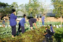 671209 งานวันบวร สสธ.ลอกผักบุ้งออกจากคลอง สวนเพื่อฟ้าดิน 54.jpg