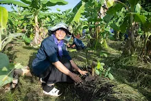 680603 รวมพลังปลูกแฝก และทองหลาง วันเฉลิมพระชนมพรรษา สมเด็จพระนางเจ้าสุทิดา 19.jpeg