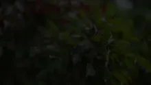 สื่อธรรมะพ่อครู(สมาธิพุทธ) ตอน เมื่อรู้ว่าผิดจะทำอย่างไร.mp4