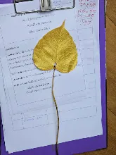 20231208_201233.jpg