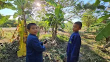 671130 นร.สมุนพระราม ฉีดพ่นจุลินทรีย์ B16 รักษากล้วยตายพราย  14.jpg