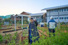 680608 สมุนพระรามเก็บเมล็ดพันธุ์ดอกไม้กินได้ที่สวน ไปขนดินปลูก 13.jpg