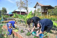 680209-12 นร. Horizon Middle School จาเกาหลี ศึกษาวัฒนธรรมบุญนิยม  บ้านราช 27.jpg