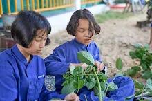 671110 นร.สมุนพระราม ลงงาน ทำกสิกรรมสวนน่ารัก เป็นวันแรก 45.jpg