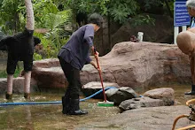 680511 ภาพโฮมแฮงขัดนำตกองค์พระพุทธธาในวันวิสาขฯ 41.jpeg