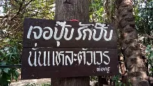 เจอปุ๊บรักปั๊บนั่นแหละตัวเวร.jpeg