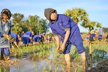 680111 กิจกรรมดำนาวันเด็กแห่งชาติ ของนร.สสธ.และสมุนพระราม 31.jpg