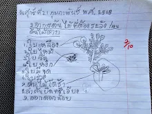 680221 สมุนพระรามหัดสังเกต 9 อาการผิดปกติของพืช 27.jpg