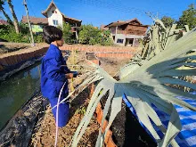 671130 เช้าปลูกต้นบล็อคเคอลี่ สวนครอบครัวน่ารัก 22.jpg