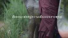 สื่อธรรมะพ่อครู(ความเสื่อมชาวพุทธ) ตอน อัมพัฏฐสูตร วิชชาและจรณะ.mp4