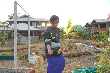 680110 สมุนพระราม ทำ 5 ส ปลูกต้นองุ่น ปรับปรุงแปลงดอกไม้ 58.jpg