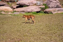 DSC04595.jpg