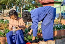 680608 สมุนพระรามเก็บเมล็ดพันธุ์ดอกไม้กินได้ที่สวน ไปขนดินปลูก 75.jpg