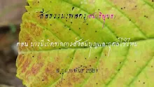 สื่อธรรมะพ่อครูสมาธิพุทธ ตอน บารมีเกิดจากการสั่งสมบุญและกุศลใช่ไหม.mp4