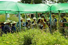 680419 ครูดีไม่มีอบายมุข รุ่น 14 เข้า work shop สวนครอบครัวน่ารัก 263.jpg