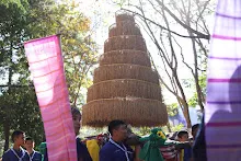 671229 ขบวนแห่พืชพันธุ์ธัญญาหารในงานเพื่อฟ้าดิน 36.JPG