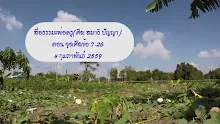 สื่อธรรมะพ่อครู(ศีล สมาธิ ปัญญา) ตอน จุลศีลข้อ 7-26.mp4