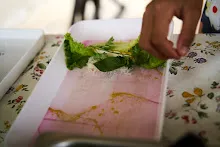 680401 อ.ดร.อานนท์ เอื้อตระกูลและคณะ เยี่ยมสวนครอบครัวน่ารัก  77.jpg