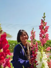 680212 สสธ.ไปทัศนศึกษาที่งานเกษตรอีสานใต้ ม.อุบล 51.jpg