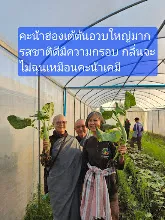680210 ประชุมการศึกษาบุญนิยม ที่เนินพอกิน งานพุทธา 24.jpeg
