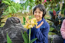 671228 สมุนพระรามเข้าค่าย เรียนการปรับปรุงพันธุ์พุทธรักษา เล่นเกมกินวิบาก พาทัวร์รถราง 23.jpg
