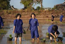 680111 กิจกรรมดำนาวันเด็กแห่งชาติ ของนร.สสธ.และสมุนพระราม 39.JPG