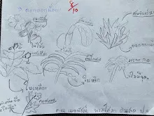 680221 สมุนพระรามหัดสังเกต 9 อาการผิดปกติของพืช 19.jpg
