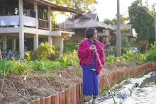 680110 สมุนพระราม ทำ 5 ส ปลูกต้นองุ่น ปรับปรุงแปลงดอกไม้ 105.jpg