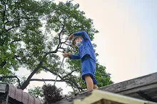 A7209635.jpg