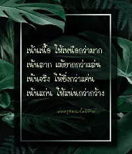 เน้นเนื้อให้เหนือกว่ามาก.jpeg