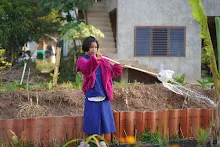 680110 สมุนพระราม ทำ 5 ส ปลูกต้นองุ่น ปรับปรุงแปลงดอกไม้ 108.jpg