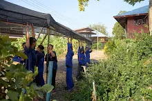 680123 สสธ.ม.4 ช่วยกางเต๊นท์เรือนเพาะชำสวนครอบครัวน่ารัก 4.jpg