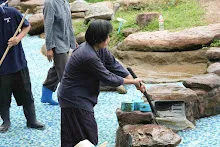 680511 ภาพโฮมแฮงขัดนำตกองค์พระพุทธธาในวันวิสาขฯ 67.jpeg