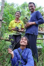 IMG_3810.jpg