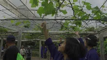 690306 สสธ ม1  ร่วมงานพุทธา ไปเนินพอกิน 11.JPG