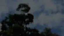 สื่อธรรมะพ่อครู(ศีล สมาธิ ปัญญา)ตอน อันตคาหิกทิฏฐิ 10 ข้อ 1.mp4