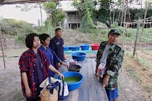 671213 ภาพ การเลี้ยงผำในอ่างพลาสติก ปสช.บิวตี้ บอส 4.jpg