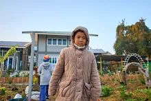 680608 สมุนพระรามเก็บเมล็ดพันธุ์ดอกไม้กินได้ที่สวน ไปขนดินปลูก 4.jpg