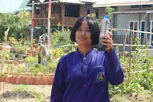 680202 สสธ.ม.3 ฝึกหัดเพาะชำต้นไม้แบบควบแน่น ไปสวนไวพลัง 542.JPG
