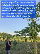 680210 ประชุมการศึกษาบุญนิยม ที่เนินพอกิน งานพุทธา 43.jpeg