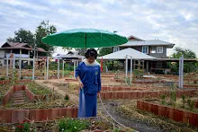 671207 สมุนพระรามทำสวนครอบครัวน่ารัก รดน้ำ เพราะกล้า ถมบ่อ 5.jpg