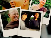 collage4.jpg