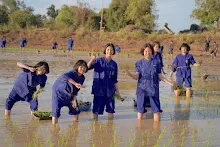 680111 กิจกรรมดำนาวันเด็กแห่งชาติ ของนร.สสธ.และสมุนพระราม